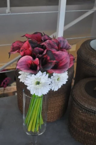 Registro da Casa Flor — inauguração 13