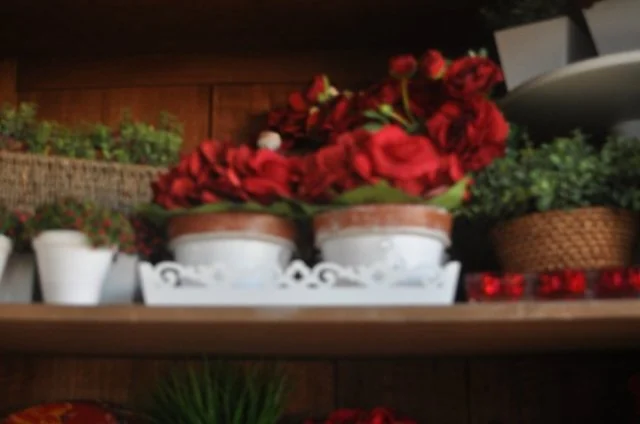 Registro da Casa Flor — inauguração 15